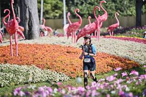 BIB: 
                            <button type="button" onclick="openModal(27793386)" class="btn btn-primary btn-sm float-right btn-popup" data-toggle="modal" data-target=".modal-high-quality">
                        <i class="fas fa-shopping-cart"></i> Add to Cart
                    </button>
                                            <button type="button" onclick="isThisMe(27793386, true)" class="btn btn-success btn-sm float-right btn-popup btn-isme hidden" data-toggle="tooltip" data-placement="bottom" title="นี่คือรูปของคุณใช่ไหม คลิกที่นี่เพื่อเอาเข้าอัลบั้ม">
                        <i class="fas fa-plus"></i> Add to album
                    </button>
                    <button type="button" onclick="isThisMe(27793386, false)" class="btn btn-warning btn-sm float-right btn-popup btn-isnotme hidden">
                        <i class="fas fa-ban"></i> Remove from album
                    </button>